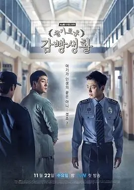 雾港回声 热播电视剧全集手机在线观看